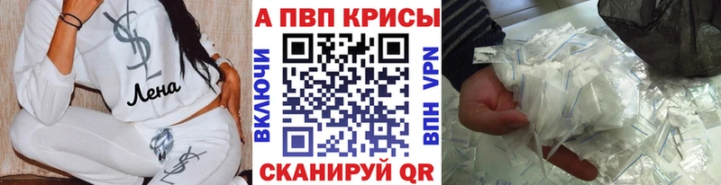 Альфа ПВП СК КРИС  Новодвинск 