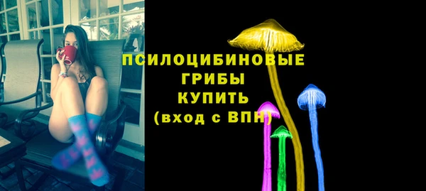 тгк Медногорск