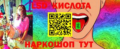 гашик Малгобек