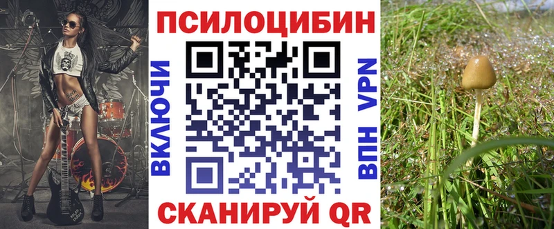 Псилоцибиновые грибы мицелий  Новодвинск 