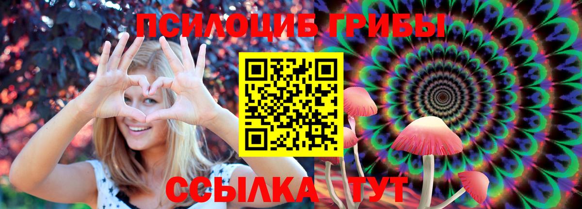 Псилоцибиновые грибы мухоморы  Новодвинск 