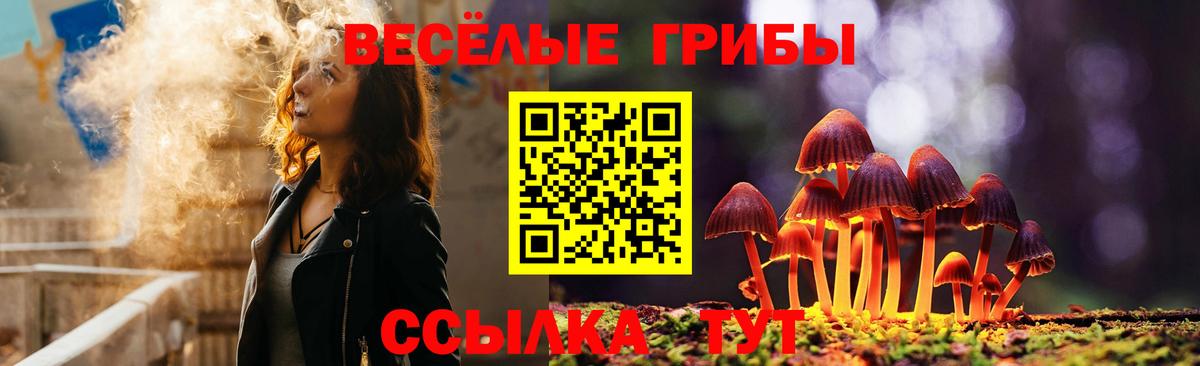 Псилоцибиновые грибы GOLDEN TEACHER Новодвинск