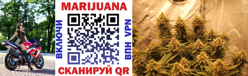 Бошки Шишки SATIVA & INDICA купить сайты Новодвинск
